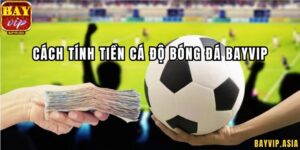 Cách tính tiền cá độ bóng đá BayVip cụ thể theo từng loại kèo