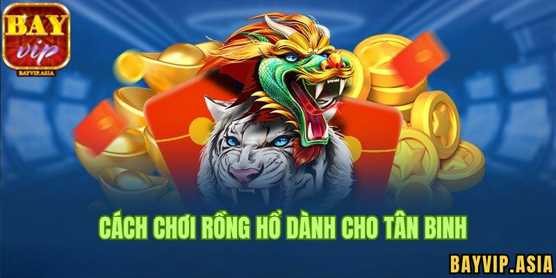 Những mẹo khi chơi Rồng Hổ BayVip dễ thắng nhất